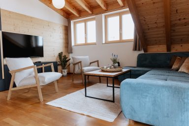 Heller Wohnraum mit blauem Sofa, Fernseher, Tisch und Pflanzen.